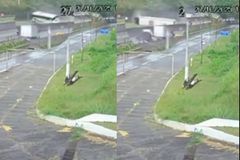 Σοκ στη Βραζιλία: Ανατροπή λεωφορείου με οπαδούς της Φλαμένγκο πριν τον ημιτελικό με τη Ράσινγκ (vid)