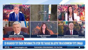 Δήμαρχος Αλεξάνδρειας: «Συγγενείς έχουν ήδη πάει στη Ρουμανία για να δουν τα παιδιά τους»