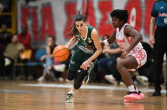 Πράσινη παράσταση τίτλου στις Σέρρες πριν τα πλέι οφ και τώρα ντέρμπι «αιωνίων»