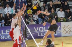 LIVE: ΟΦΗ - ΟΛΥΜΠΙΑΚΟΣ