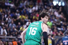 Ελπίζει σε 2 σημαντικές επιστροφές ο Παναθηναϊκός, 4 παίκτες εκτός για την Παρί: Το ιατρικό δελτίο της Παρασκευής (28/3)