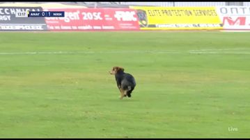 Ο... απρόσμενος επισκέπτης στο Αναγέννηση Καρδίτσας - Νίκη Βόλου