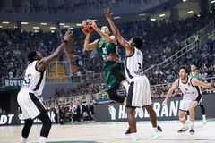 Κομβικό παιχνίδι για τον Παναθηναϊκό AKTOR στην Μπολόνια κόντρα στην Βίρτους