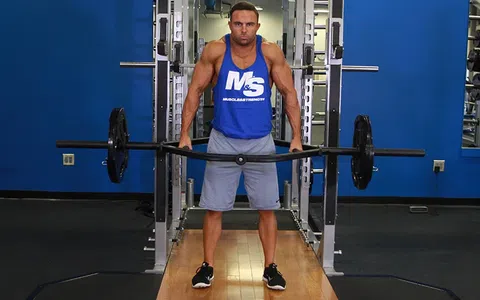 Barbell Shrugs: Η Άσκηση που Χτίζει Δυνατούς και Πυκνούς Τραπεζοειδείς