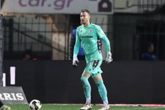 Όλο και πιο κοντά στην ανανέωση ο Παβλένκα