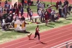 Σκυλάκι μπήκε στην κούρσα του Στίβου και βγήκε... πρώτο (vid)