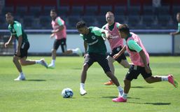 Παναθηναϊκός: Ο ρόλος του Ζέκα στο σχέδιο Γιοβάνοβιτς