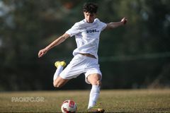 Από τον ΠΑΟΚ στην Τορίνο ο Μόκρης