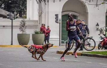 Απίστευτο: Δρομέας έχασε σίγουρη νίκη, εξαιτίας ενός σκύλου!
