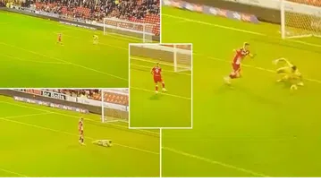 Το πιο περίεργο γκολ της χρονιάς μπήκε στις καθυστερήσεις του Μπάρνσλεϊ - Γουίκομπ (vids)