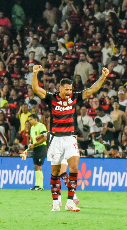 Η Φλαμένγκο «λύγισε» την Παλμέιρας και κατέκτησε το Copa Libertadores!