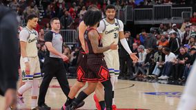 Αποκαλύφθηκαν οι διάλογοι που «άναψαν τα αίματα» ανάμεσα σε Αντετοκούνμπο και Βούτσεβιτς (vid)