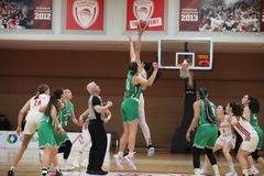 Ο Ολυμπιακός έκανε αίτημα για δεύτερο κομισάριο και εισαγγελέα εν όψει του δεύτερου τελικού με τον Παναθηναϊκό