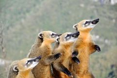 ΑΠΡΙΛΙΟΣ ΣΤΟ VIASAT NATURE (highlights)