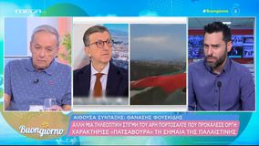 Α. Μικρούτσικος για Πορτοσάλτε: «Πρέπει να είσαι πολύ πατσαβούρα, για να λες τη σημαία ενός μαχόμενου κράτους πατσαβούρα»