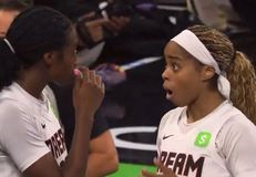 Απίστευτο και όμως αληθινό: Θεατής πέταξε sex toy σε αγώνα WNBA (vid)