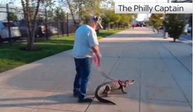 Απίστευτο: Οπαδός προσπάθησε να μπει στο γήπεδο παρέα με τον αλιγάτορά του