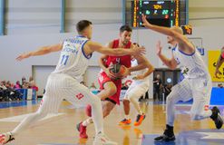 Γαπκιάδης: «Στόχος της Καρδίτσας κόντρα στον Ολυμπιακό να φανεί όσο πιο ανταγωνιστική μπορεί»