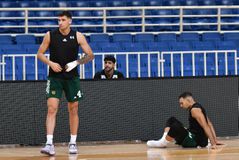 Τα νούμερα που διάλεξαν Σλούκας, Χουάντσο, Παπαπέτρου και οι υπόλοιποι παίκτες στον Παναθηναϊκό