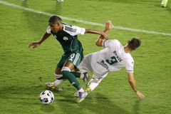 Οι καλύτερες στιγμές και τα γκολ από το ισόπαλο Παναθηναϊκός - Λεβαδειακός (vid)