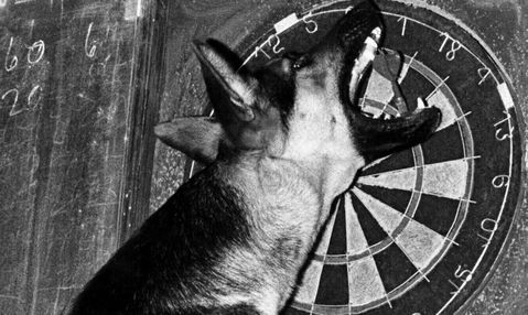 Vacature: profdarters gezocht! Zo doe je mee aan Q-School en dit kost het