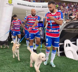 🎥🐕 | Hoe lief! Braziliaanse club komt met hondjes het veld op om adopteren te stimuleren