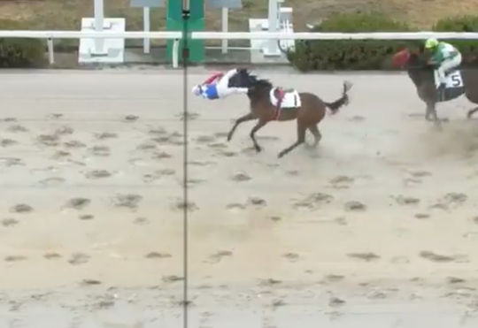 🎥 | Opa-jockey pleurt keihard van paard en VLIEGT letterlijk de finish over