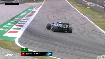 🎥 | Konijntje springt nét weg voor auto van Latifi bij kwalificatie Monza