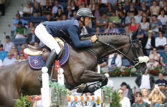 Leegloop in paardenland: '90 procent van de paarden gaat de grens over'