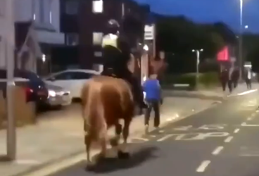 FAIL! Hooligan in Engeland slaat politiepaard en probeert te vluchten (video)