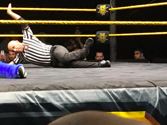 WWE-scheids breekt been tijdens wedstrijd, verbijt pijn en telt 'gewoon' tot 3 (video)
