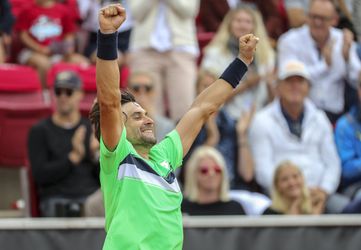 Eindelijk weer een ATP-titel voor routinier Ferrer