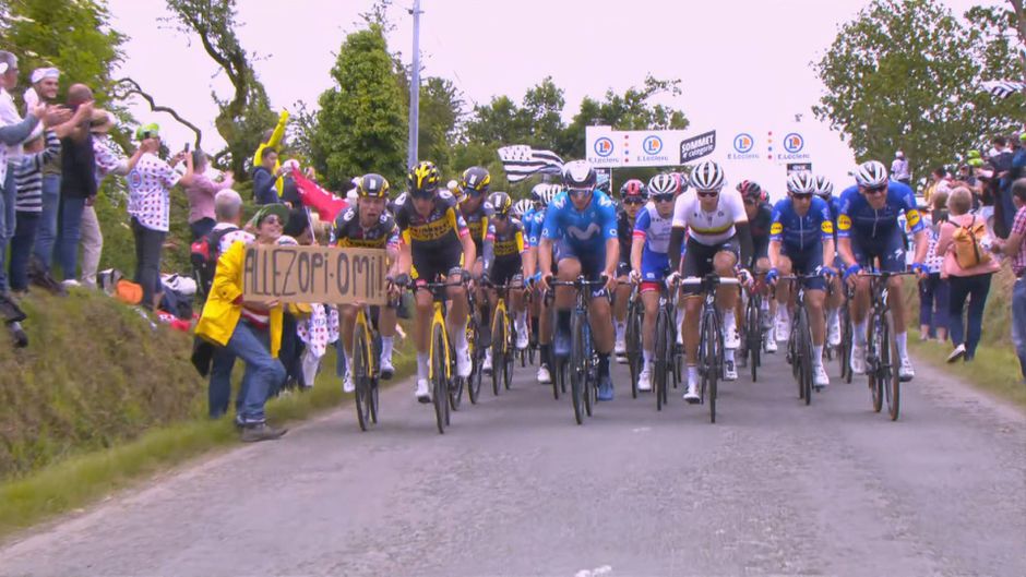 Tour de France trekt rechtszaak in tegen vrouw die enorme valpartij veroorzaakte