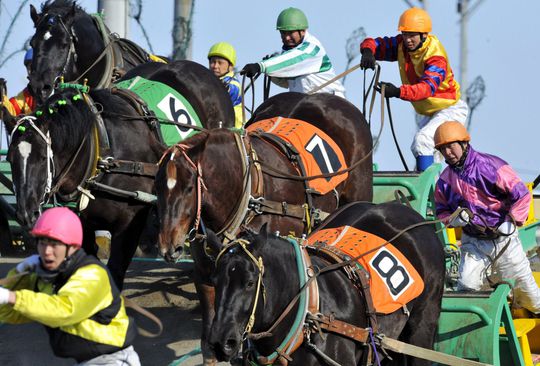 Gokkers zetten massaal in op Zweedse paardensport