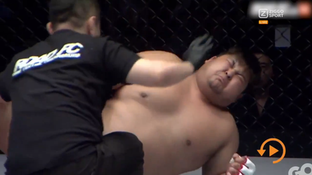 MMA-vechter krijgt na paar seconden loeiharde trap in zijn klokkenspel (video)