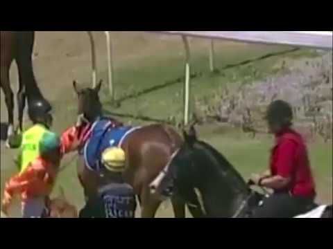 Jockey geschorst voor het slaan van eigen paard (video)