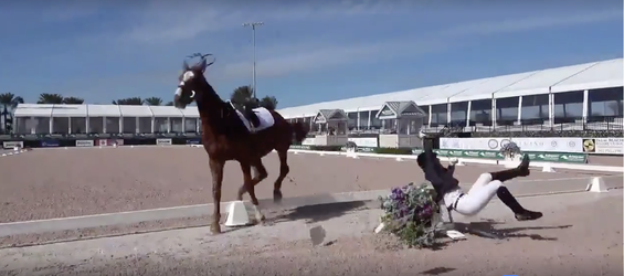 Paard slaat op hol en gooit gehandicapte amazone tegen plantenbak (video)