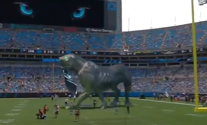 🎥 | Vet! Footballteam Carolina Panthers laat virtuele panter over veld sluipen