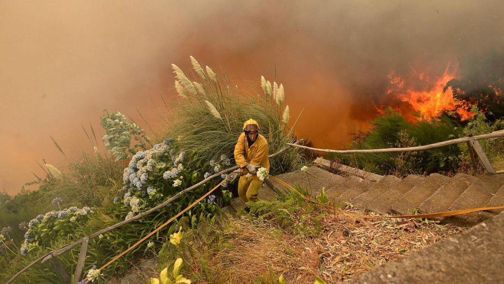 Portugese competitie geteisterd door bosbranden