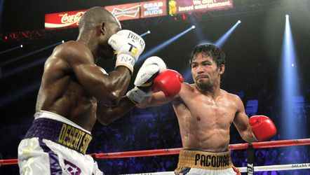 Bokser Pacquiao bevestigt terugkeer in de ring