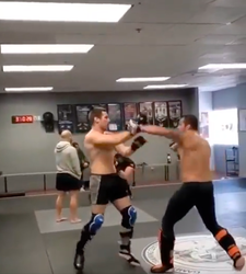 🎥 | UFC'er Sean Strickland gaat nu zelf los tijdens sparringssessie: 'Kom op dan!?'