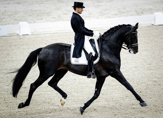 Paardenbond KNHS: "Spelen met een jaar uitstellen is misschien wel het beste"