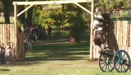 🎥 Zielig! Paard springt tegen 3,5 meter hoog hek op