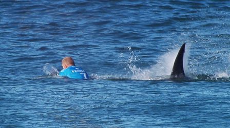 Legendarische surfer die ooit met haai vocht, bergt plank definitief op (video)