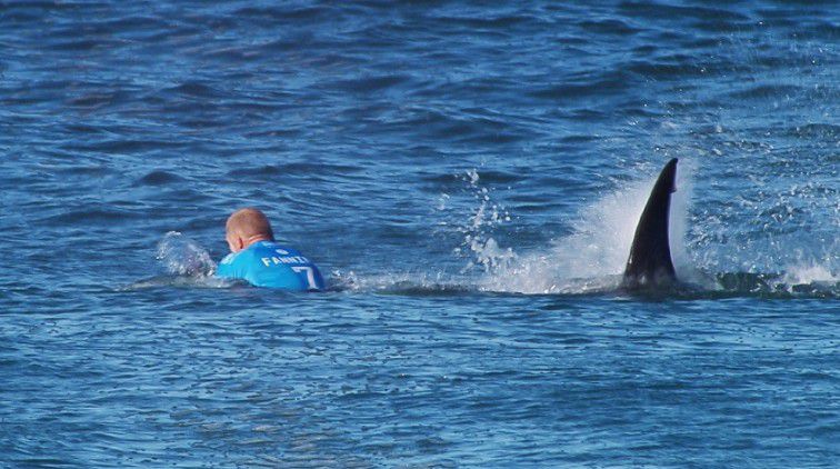 Legendarische surfer die ooit met haai vocht, bergt plank definitief op (video)