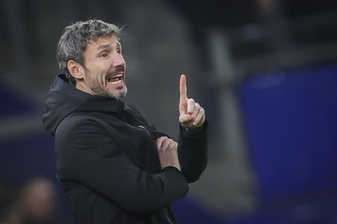 Mark van Bommel won met Antwerp nog geen wedstrijd in de CL, maar: 'We gaan van Barça winnen'