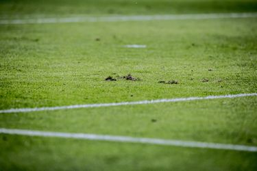Ajax kijkt jaloers naar spotje Feyenoord en kiest voor nieuwe grasmat in Arena