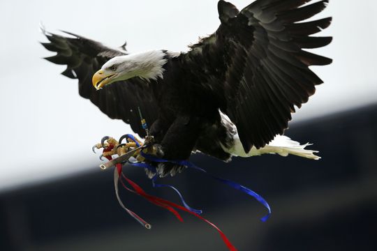 'Man hoekt mascotte Crystal Palace en moet brommen'