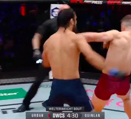 🎥 | Josh Quinlan maakt gehakt van Logan Urban bij UFC Contender Series