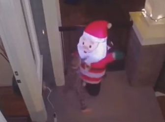 🎥 | Bokstalent alert! Peuter slaat met vliegensvlugge klappen kerstman naar de gallemiezen